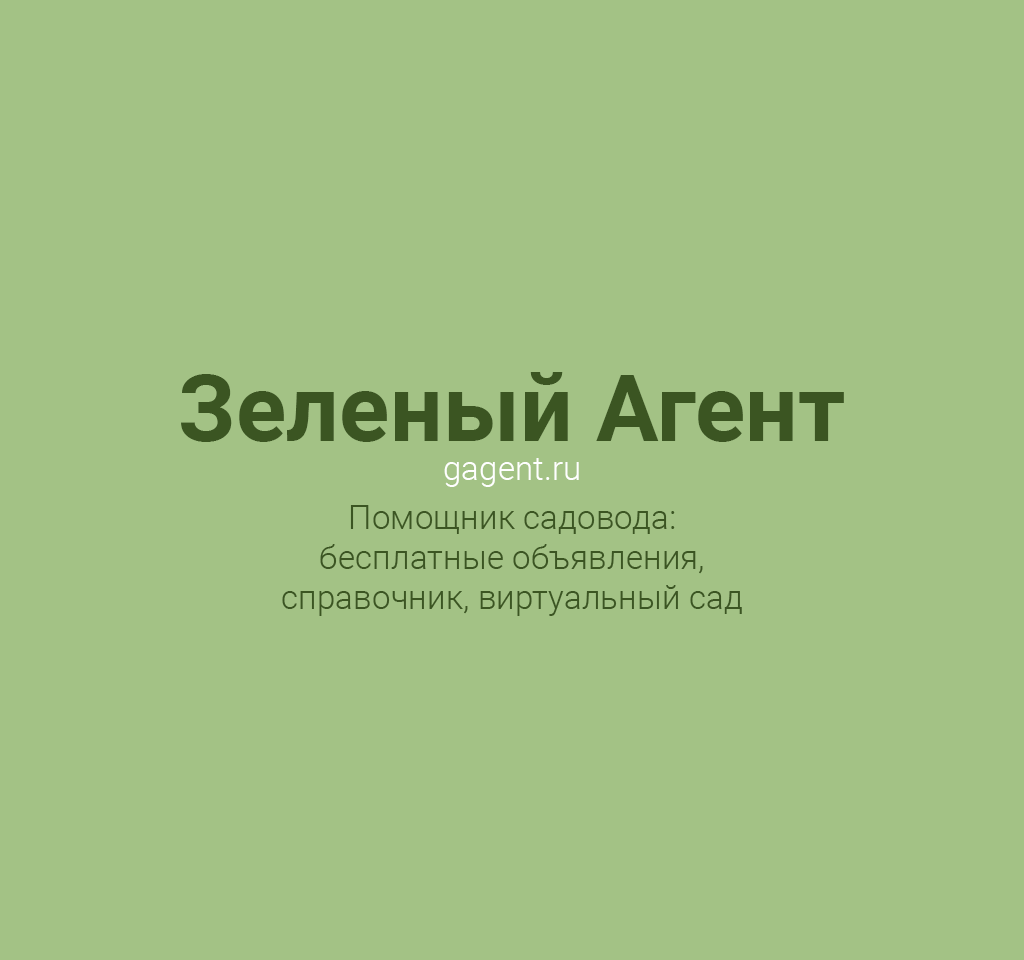 Зеленый Агент - помощник садовода: бесплатные объявления, справочник, виртуальный сад. Зеленый Агент - помощник садовода: бесплатные объявления, справочник, виртуальный сад.